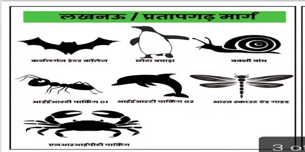 माघ मेला में श्रद्वालुओं के वाहन खड़े करने को बनाए गए 43 पार्किंग स्थल के बनाए गए अलग-अलग प्रतीक चिन्ह