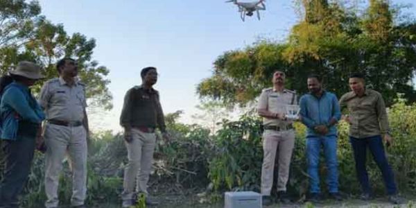 तेंदुए के आतंक से सहमे कोलाबाड़ी चाय बागान के श्रमिक इलाके का वन विभाग ने किया निरीक्षण