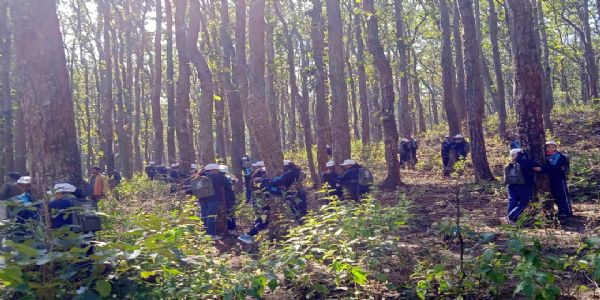 अनूपपुर: वन भ्रमण कर बच्चों ने जाना वनों का महत्व,प्रकृति,वन,वन्य प्राणियों को बचाने का लिया संकल्प