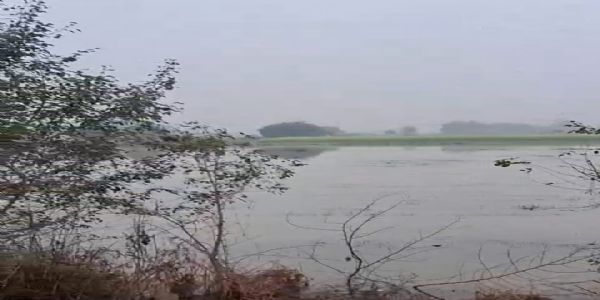 माइनर के पानी से नाले का ओवरफ्लो, अन्नदाता तबाह