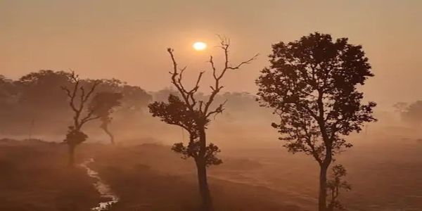 अंबिकापुर : उत्तर छत्तीसगढ़ में ठंड और कोहरे का डबल असर, सुबह तक थमी रफ्तार