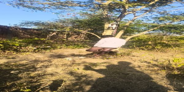 अनूपपुर: युवक का शव रेलवे लाइन किनारे पेड़ पर लटकता मिला, 6 दिन से था लापता