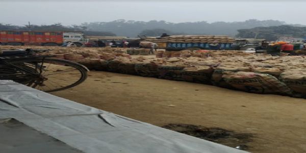 भीषण शीत लहर में आलू मंडी सातनपुर में आलू की आवक बड़ी