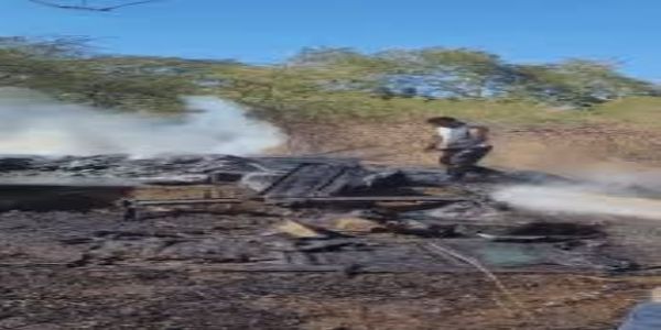 भोपाल में सतपुड़ा भवन के पास झाड़ियों में लगी आग, दूर तक दिखा धुंए का गुबार