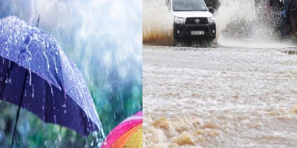 मानसून 2025, मध्‍य प्रदेश