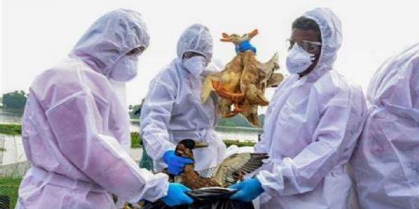 प्रतीकात्मक