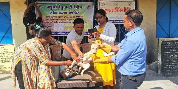 कोरबा नगर निगम व पशु चिकित्सा विभाग टीम के द्वारा स्ट्रीट डाॅग का किया जा रहा वैक्सीनेशन