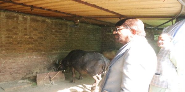 किसान दुग्ध उत्पादन को व्यवसाय की तरह संचालित करें: मंत्री पटेल