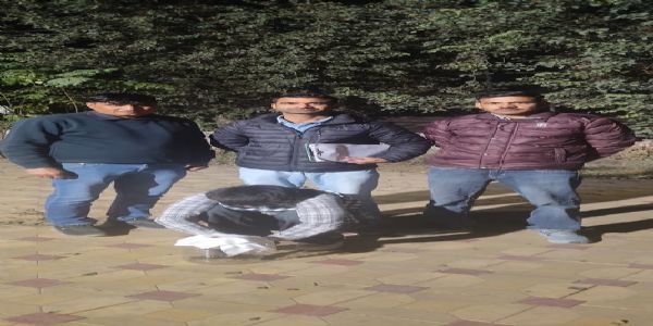 फतेहाबाद : अवैध हथियारों सहित तीन युवक काबू