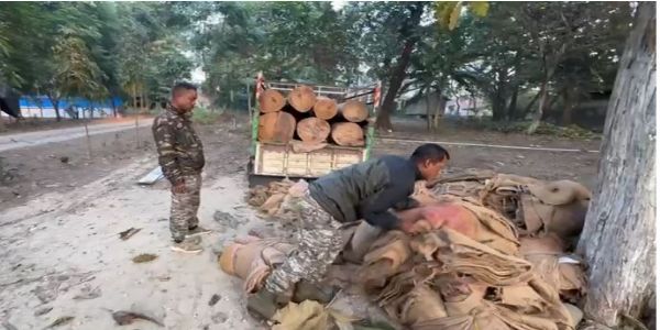 सागौन की लकड़ी तस्करी नाकाम, दो गिरफ्तार