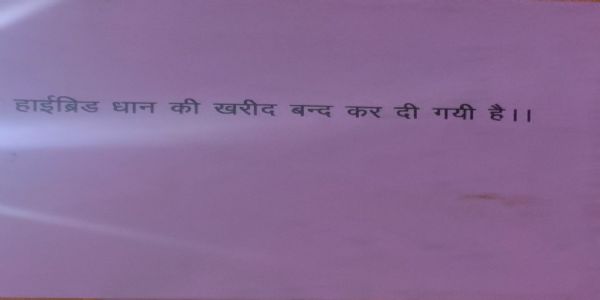 बाराबंकी के राम नगर में हाइब्रिड धान की खरीद बंद, किसानों ने दी धरना प्रदर्शन की चेतावनी