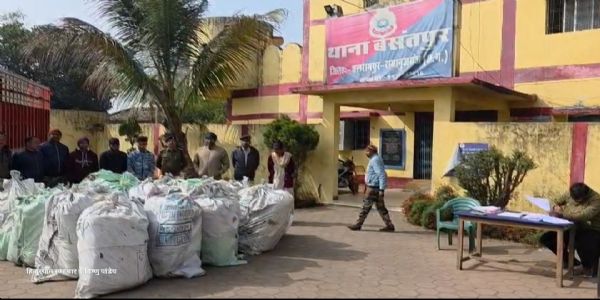 जब्त गांजा।