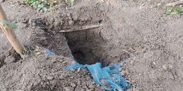 हुगली में कब्र से गायब हुआ शव, आठ महीने बाद कब्र खोदकर ले जाने का आरोप