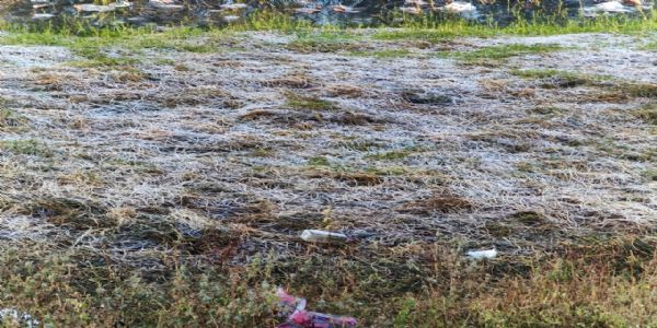 अनूपपुर: सर्दी का थर्ड डिग्री, अमरकंटक में बि‍छी बर्फ की सफेद चादर