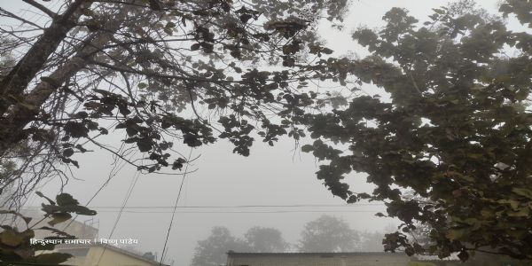 बलरामपुर : धूप के बाद कोहरे की चादर, रामानुजगंज में बढ़ी ठंड, दृश्यता शून्य