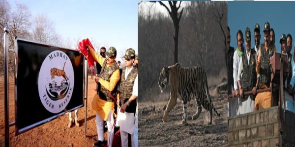 राज्‍य की टाइगर स्टेट की पहचान और मजबूत