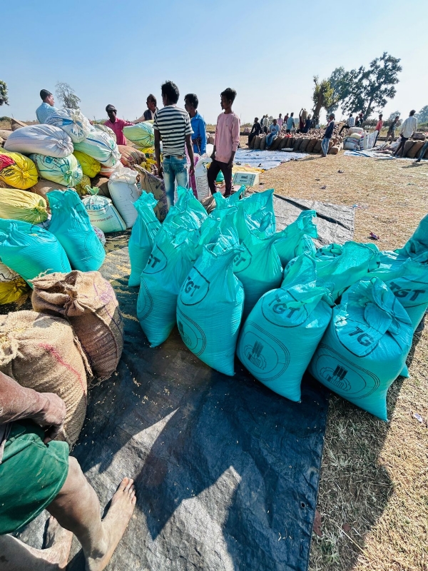 अवैध धान