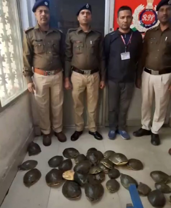बरामद कछुआ के साथ रेल पुलिस के जवान