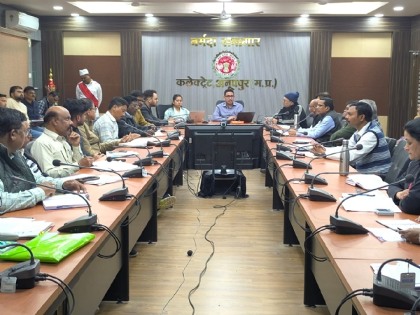 समयावधि पत्रों की समीक्षा बैठक में अधिकारियों को निर्देश देते हुए कलेक्टर