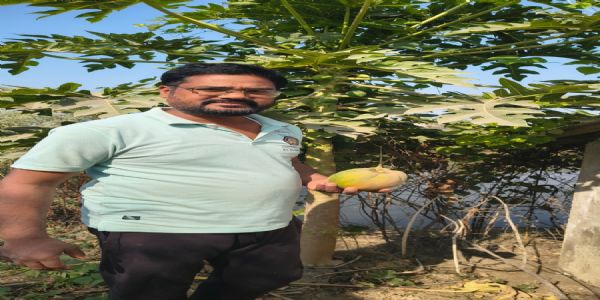 निजी डबरी से बदली त्रिपतीनाथ केवट की तक़दीर, डबरी बनी सहारा, मछली पालन से लौटी मुस्कान और आत्मसम्मान