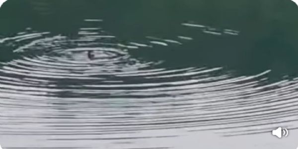 अनूपपुर: दो दिनों से तालाब में घुसी महिला पुलिस को कर रही 'राम-राम', बचाव दल की टीमें जुटीं