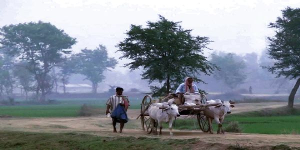 वर्ष के अंतिम दिन कड़ाके की ठंड की चपेट में पश्चिम मेदिनीपुर, तापमान न्यूनतम स्तर पर
