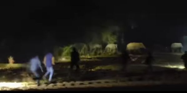 झाड़ग्राम में फिर हाथियों का आतंक, मशालें और टॉर्च लेकर ग्रामीणों ने खदेड़ा