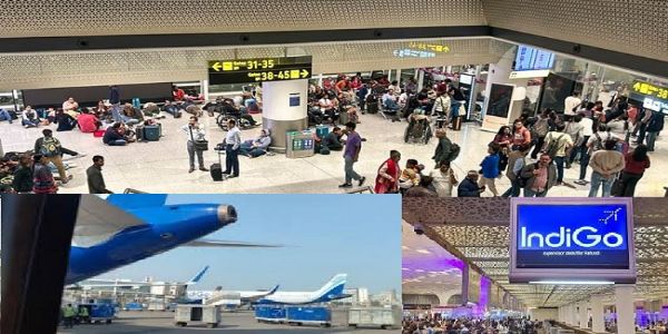 इंडिगो एयरलाइन के लोगो का प्रतीकात्‍मक चित्र