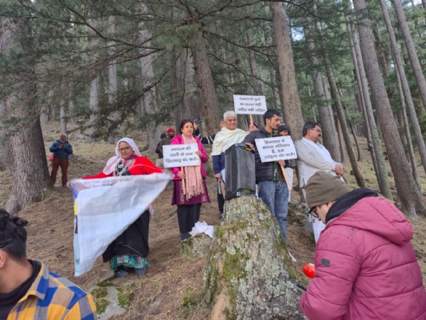 रक्षासूत्र आंदोलन की आवाज बुलंद, सड़क चौड़ीकरण में देवदार के वृक्षों पर बांधे रक्षा सूत्र।। रक्षासूत्र आंदोलन की आवाज बुलंद, सड़क चौड़ीकरण में देवदार के वृक्षों पर बांधे रक्षा सूत्र।।
