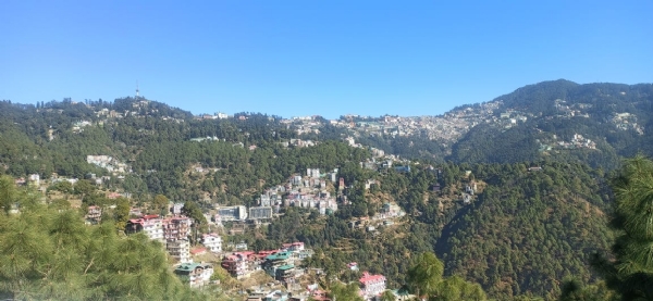 शिमला : धूप शिमला : धूप