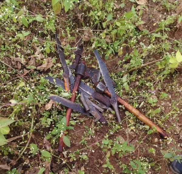 गौहत्या की घटना गौहत्या की घटना