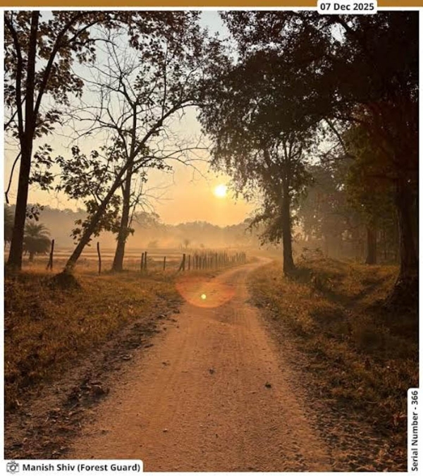 Pench Tiger Reserve. Pench Tiger Reserve.