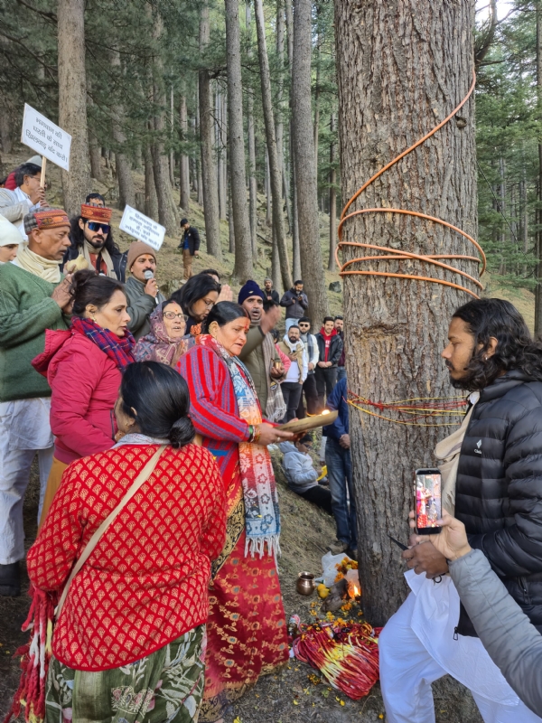रक्षासूत्र आंदोलन की आवाज बुलंद, सड़क चौड़ीकरण में देवदार के वृक्षों पर बांधे रक्षा सूत्र।। रक्षासूत्र आंदोलन की आवाज बुलंद, सड़क चौड़ीकरण में देवदार के वृक्षों पर बांधे रक्षा सूत्र।।