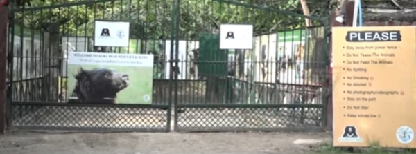 भालू संरक्षण आगरा