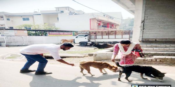 कोरबा : एंटी रैबीज टीकाकरण हेतु दशहरा मैदान में नाै दिसम्बर को लगेगा शिविर