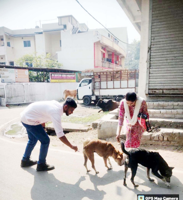 कोरबा : एंटी रैबीज टीकाकरण हेतु दशहरा मैदान में 09 दिसम्बर को लगेगा शिविर कोरबा : एंटी रैबीज टीकाकरण हेतु दशहरा मैदान में 09 दिसम्बर को लगेगा शिविर