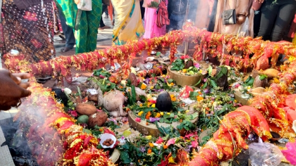 नर्मदा मंदिर परिषर में स्थित शिवलिंग का समूह