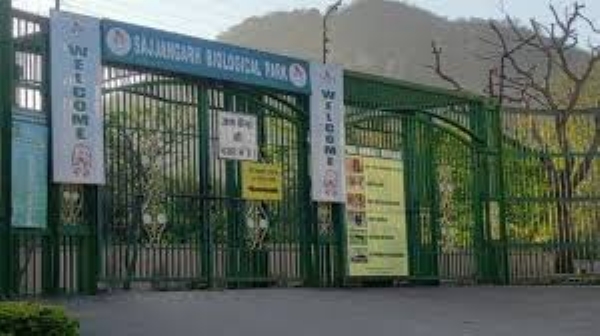 उदयपुर के बायो पार्क में बड़े होंगे मां से बिछड़े लेपर्ड शावक
