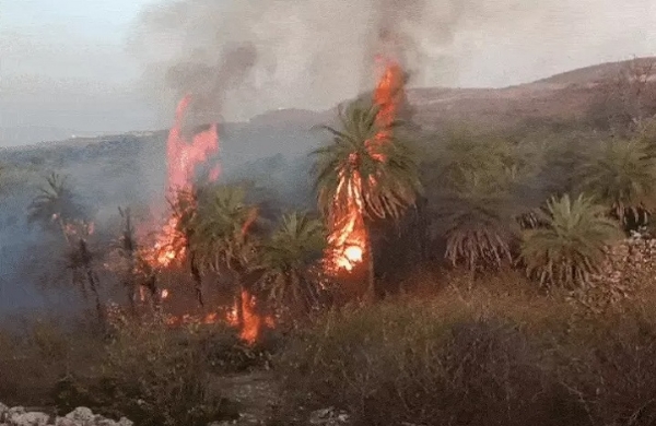 दतियाः बबीना आर्मी कैंट की फायरिंग रेंज में लगी आग
