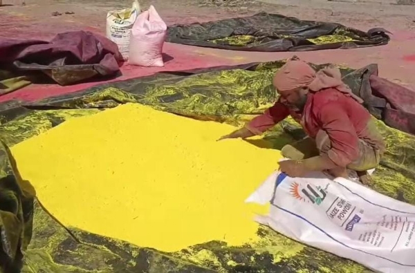 पीला रंग को बोरी में भरते मज़दूर