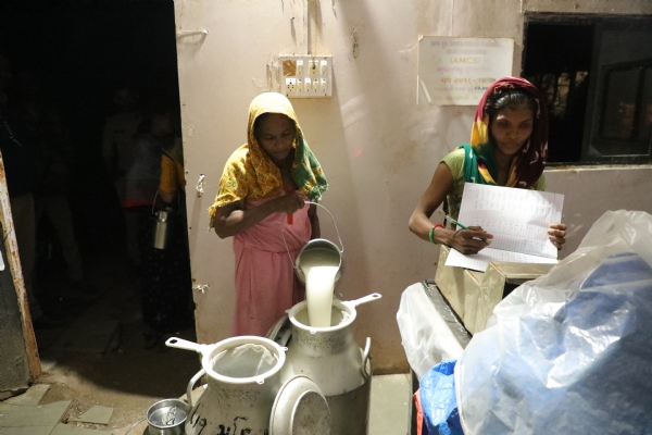 सूरत जिले में मांडवी तहसील में स्थित धज गाँव की दूध मंडली।