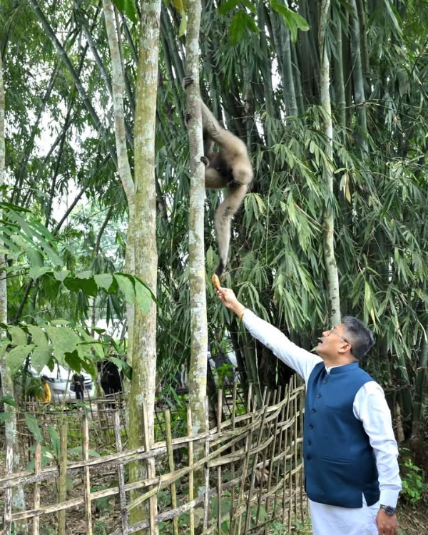 असम के बारेकुरी गांव में होलौ बंदरों को लेकर मीडिया से बातचीत करते हुए मंत्री पीयूष हजारिका।