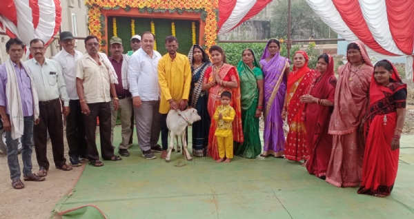 बछिया का जन्मोत्सव मनाता हुआ सिन्हा परिवार।