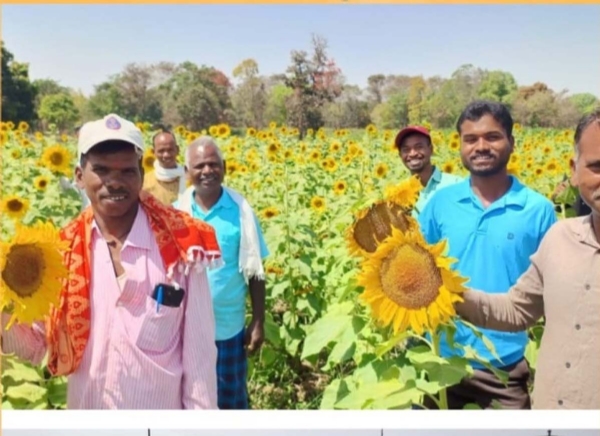 किसान रामायण मान्यवर परिवार के साथ सूरजमुखी  फसल के साथ