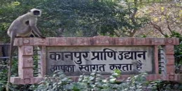 एक सप्ताह तक बंद रहेगा कानपुर चिड़ियाघर - निदेशक