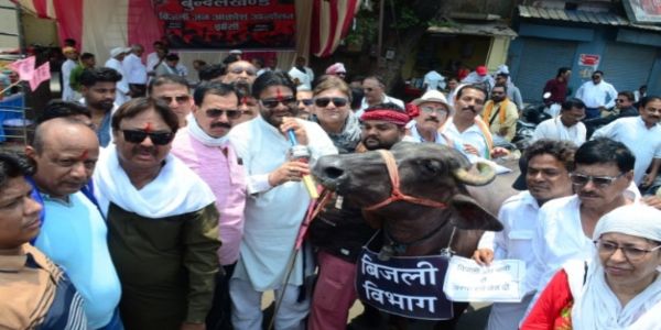 आंदोलन का दूसरा दिन : बिजली विभाग बनी भैंस, पूर्व केन्द्रीय मंत्री ने हंसते हुए बजाई बीन