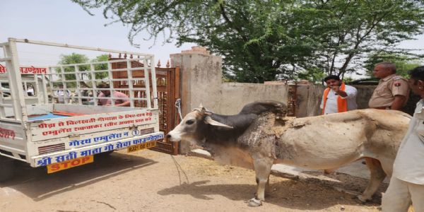 jodhpur