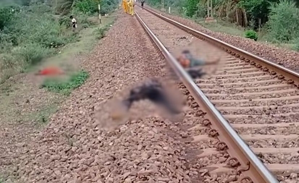 ट्रेन की चपेट में आकर दो लोगों की दर्दनाक मौत