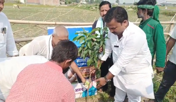 अररिया फोटो:वृक्षारोपण अररिया फोटो:वृक्षारोपण