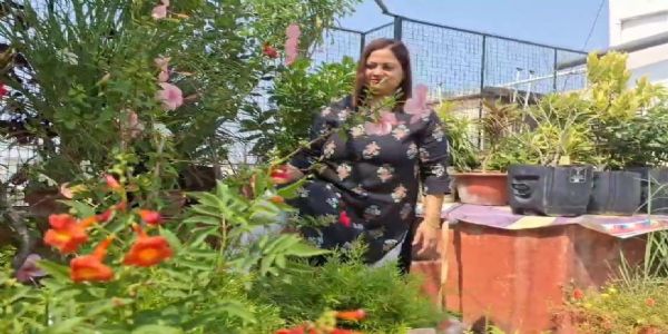 फूलों से प्रेम ने बना दिया छत को बग़ीचा, खिले 63 किस्म के फूल